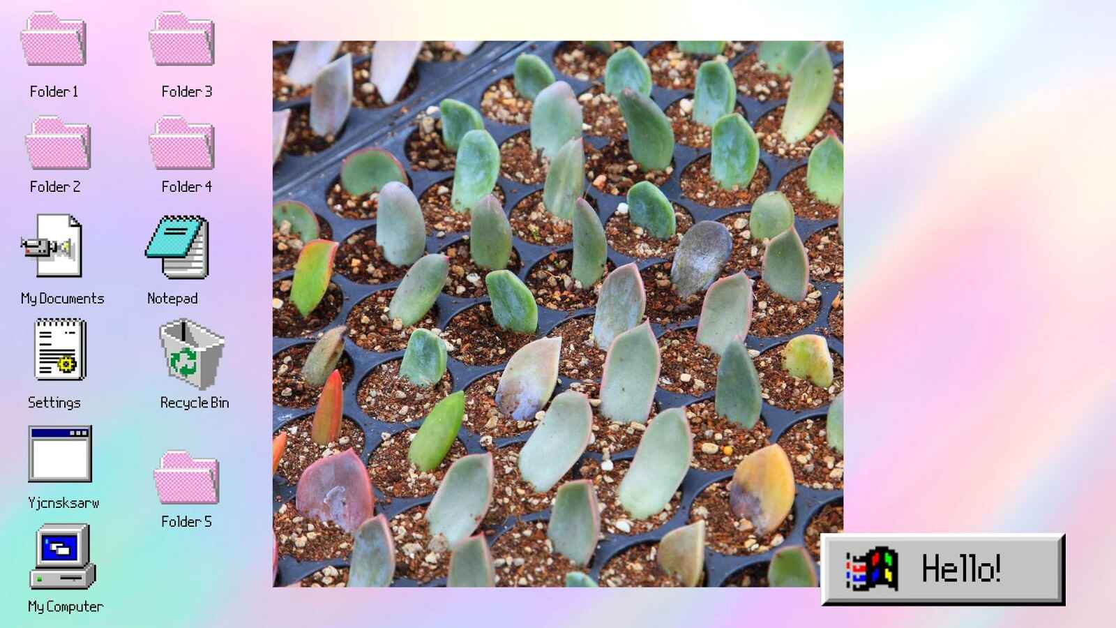 Why is peat free compost important? 7 Environmental and Gardening